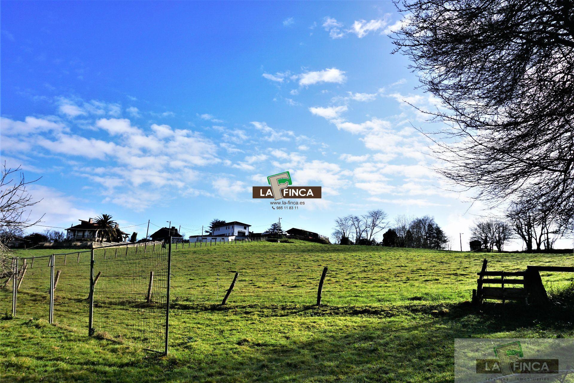For sale of land in Llanera