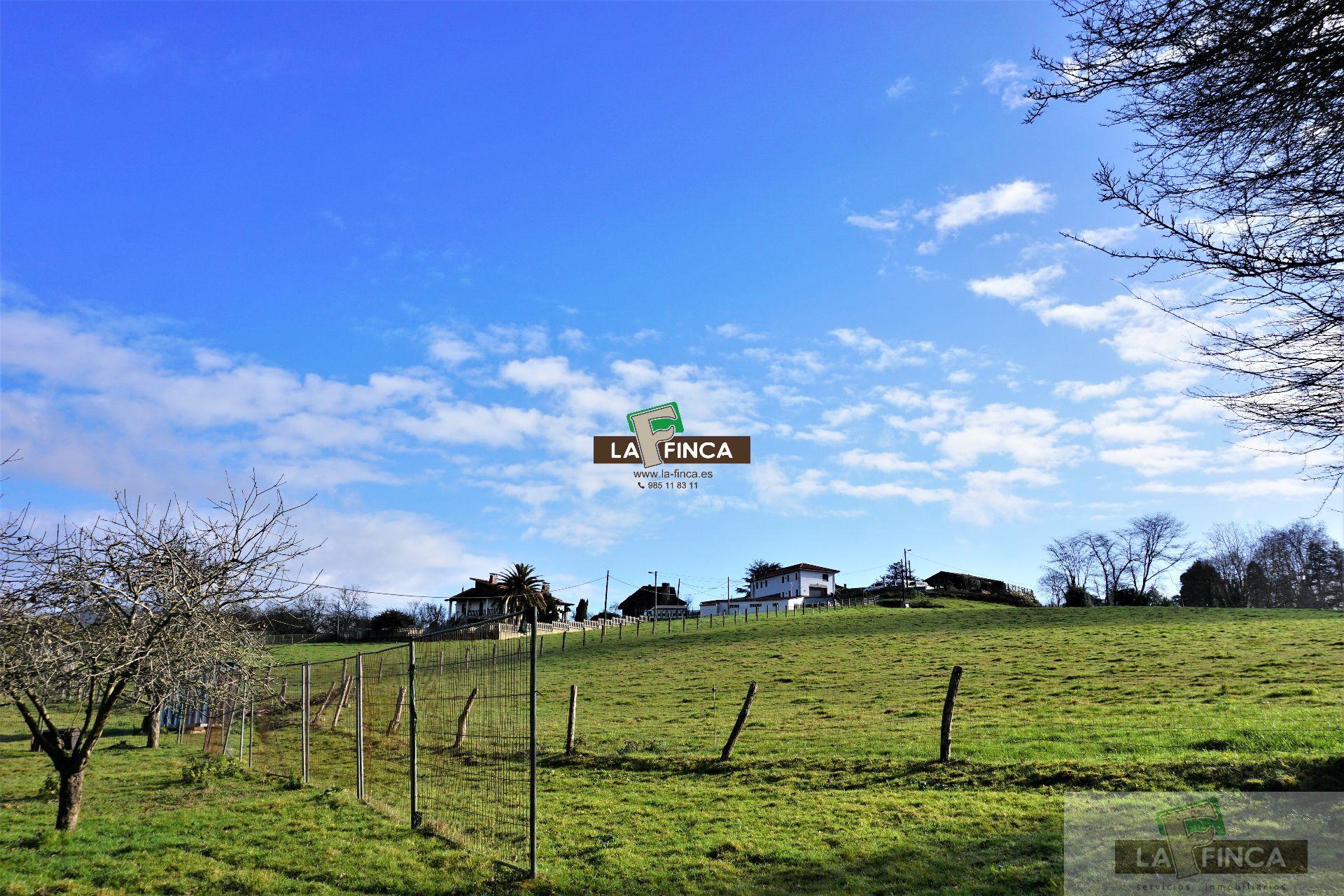For sale of land in Llanera