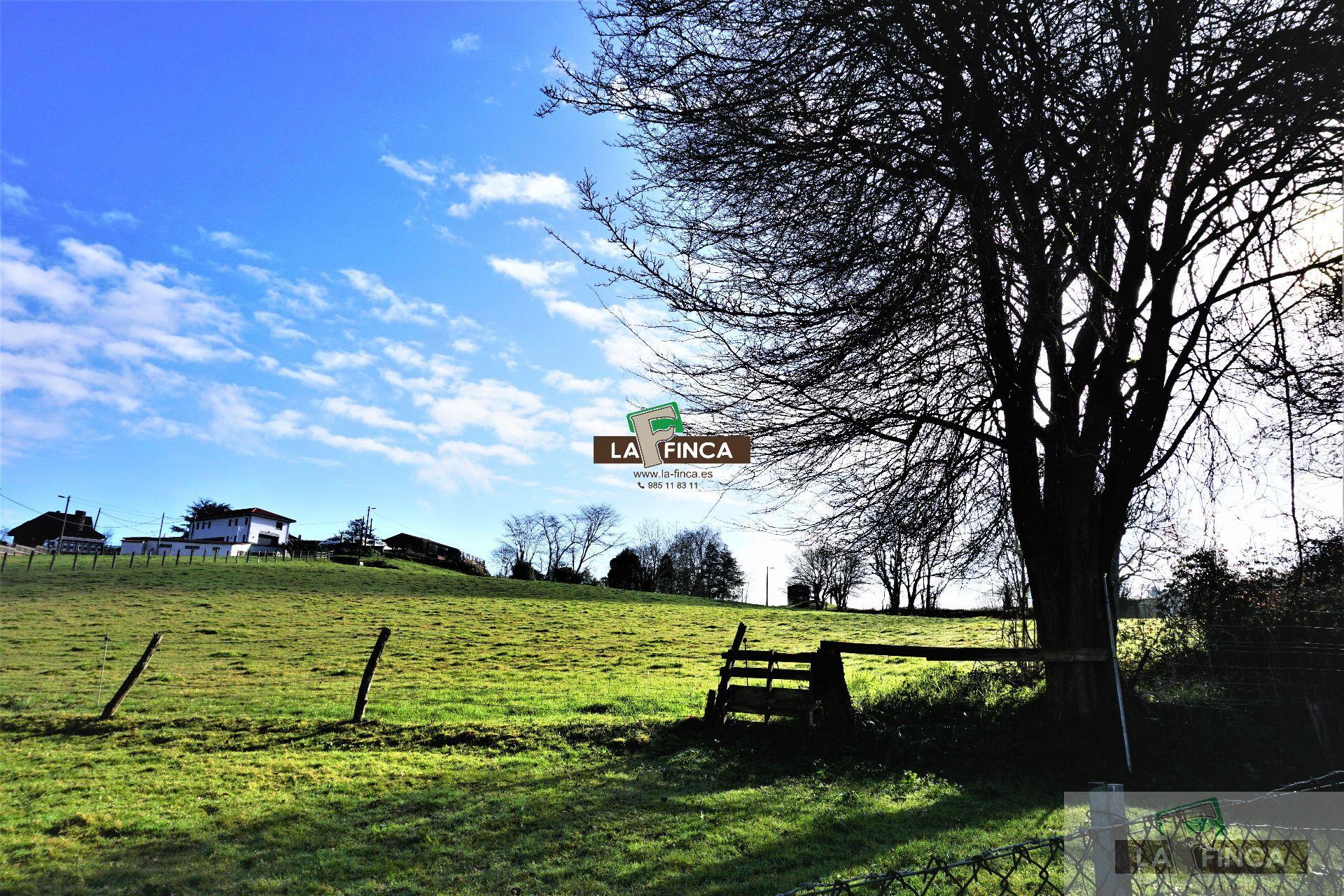 For sale of land in Llanera