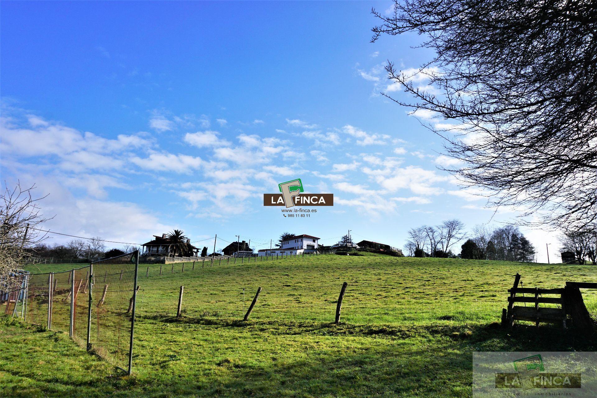 For sale of land in Llanera