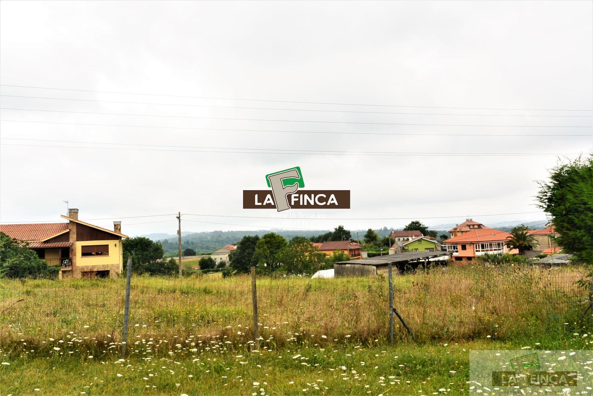 For sale of land in Siero