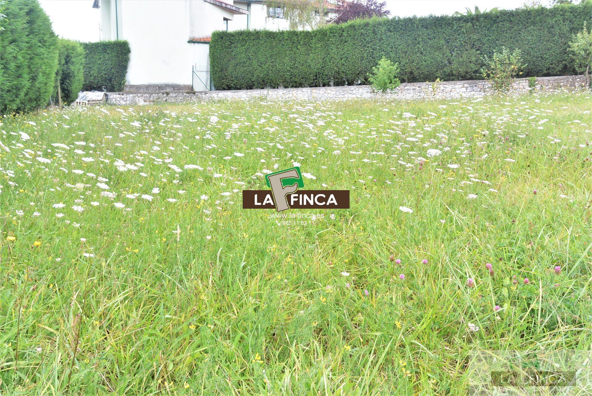 For sale of land in Siero