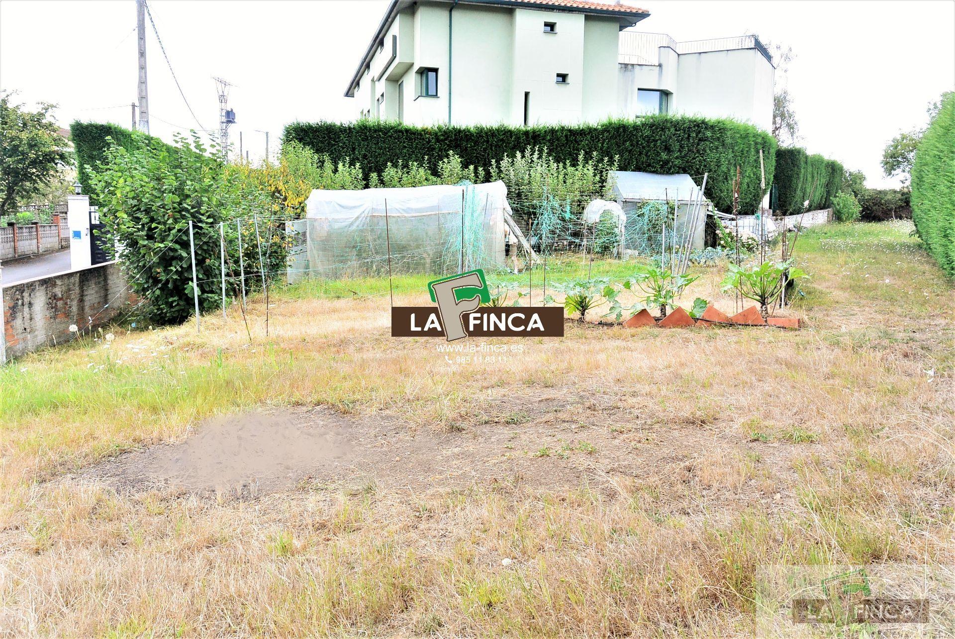 For sale of land in Siero