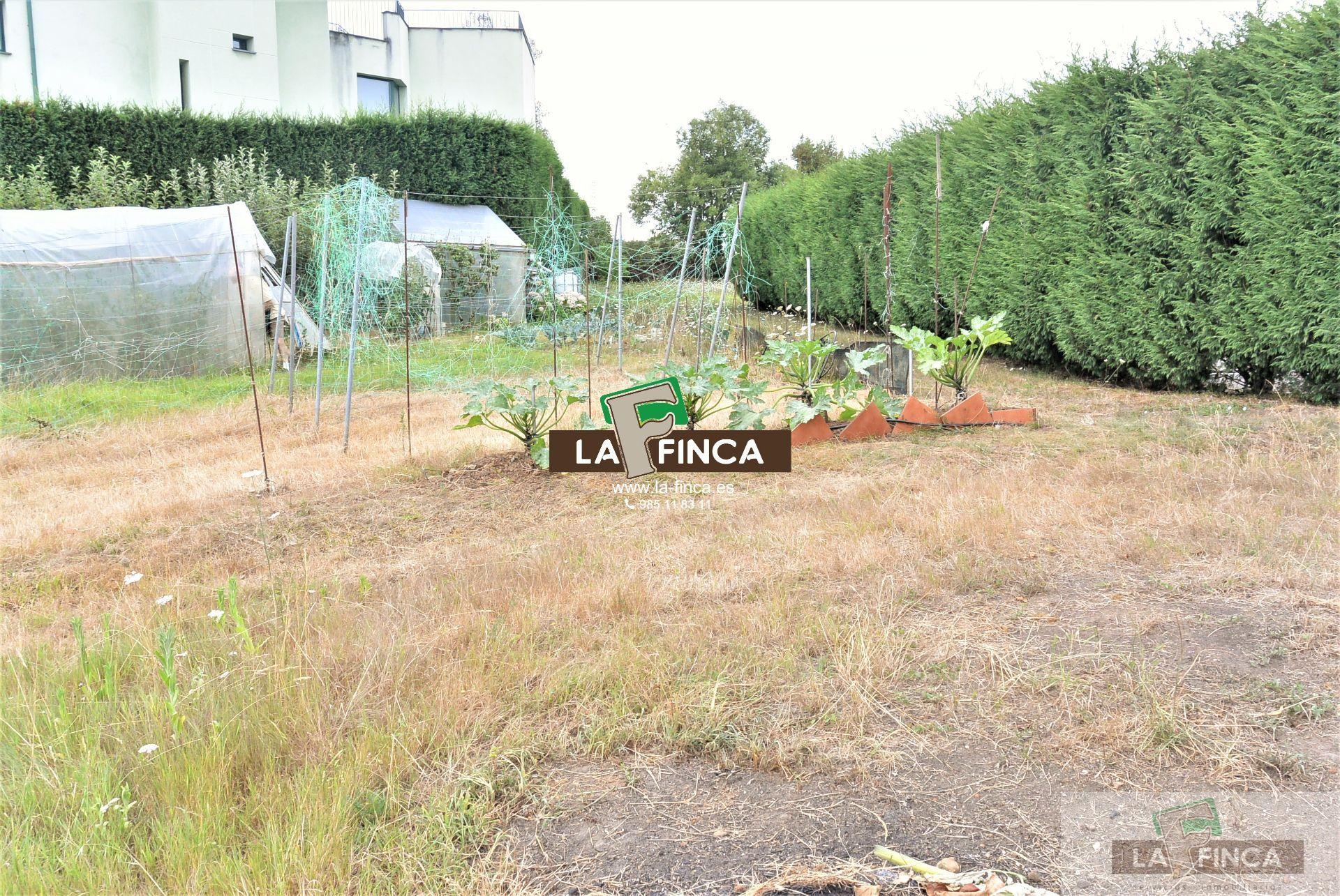 For sale of land in Siero