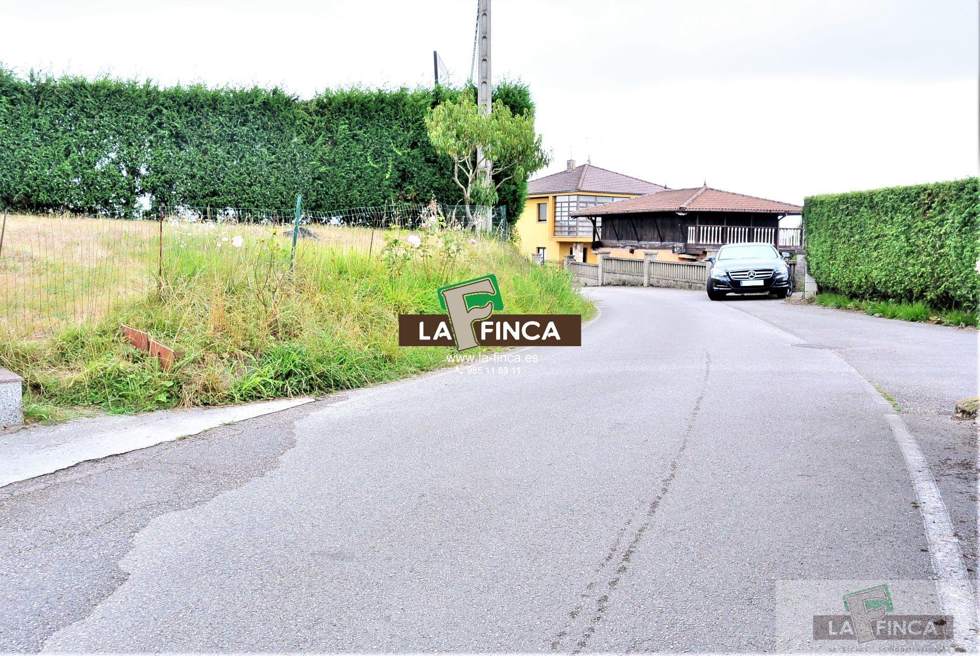 For sale of land in Siero