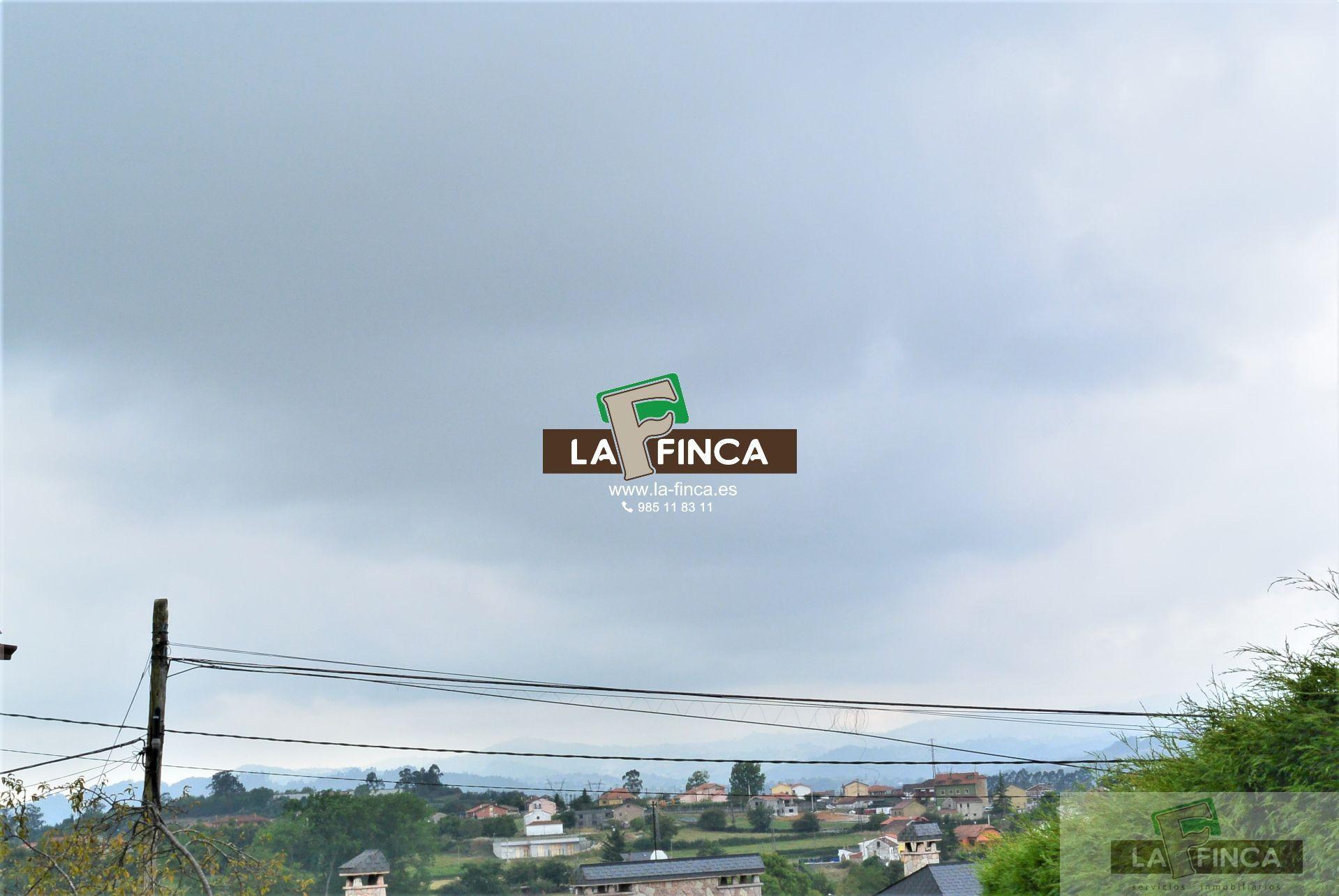 For sale of land in Siero