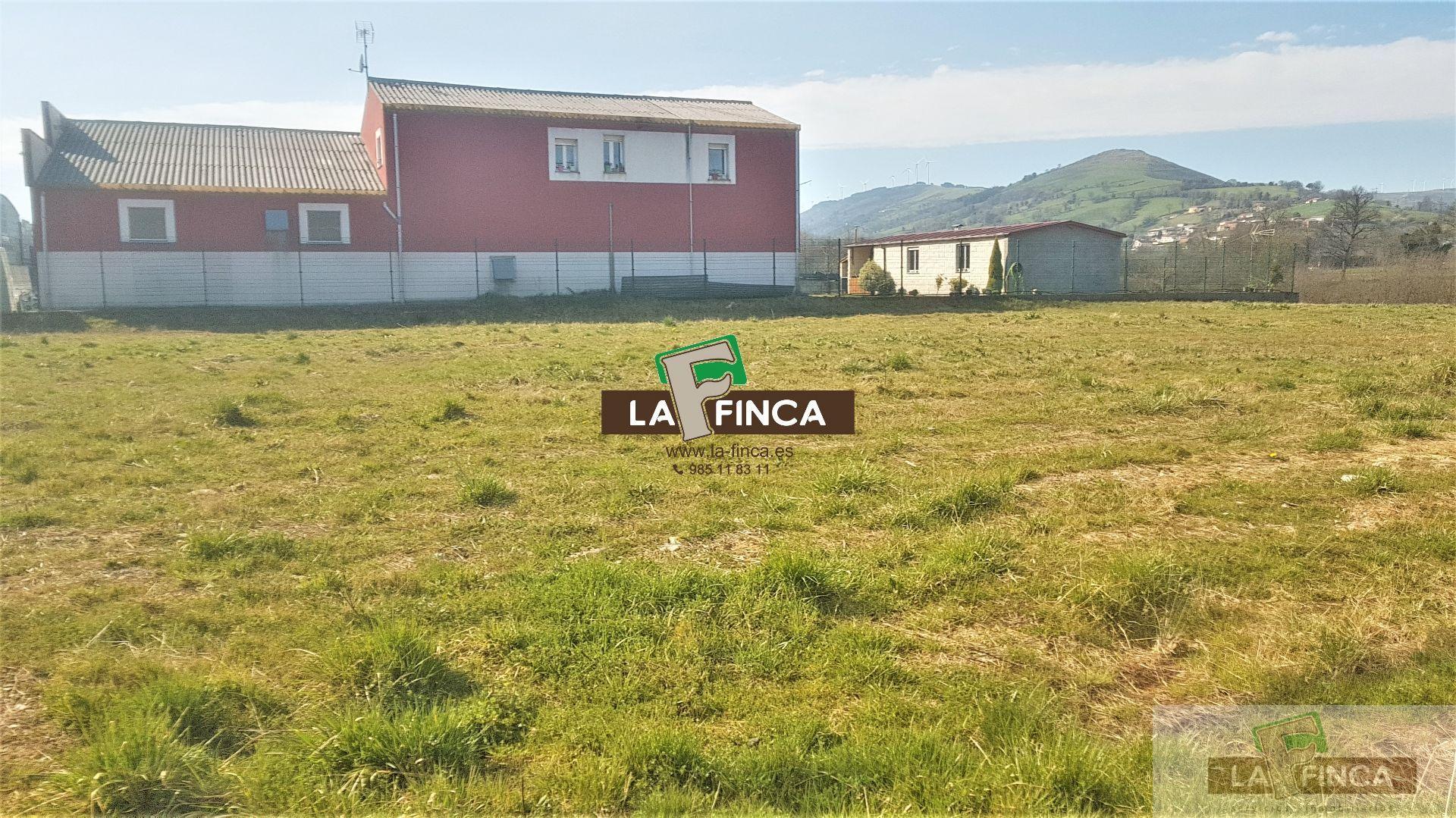 For sale of land in Salas