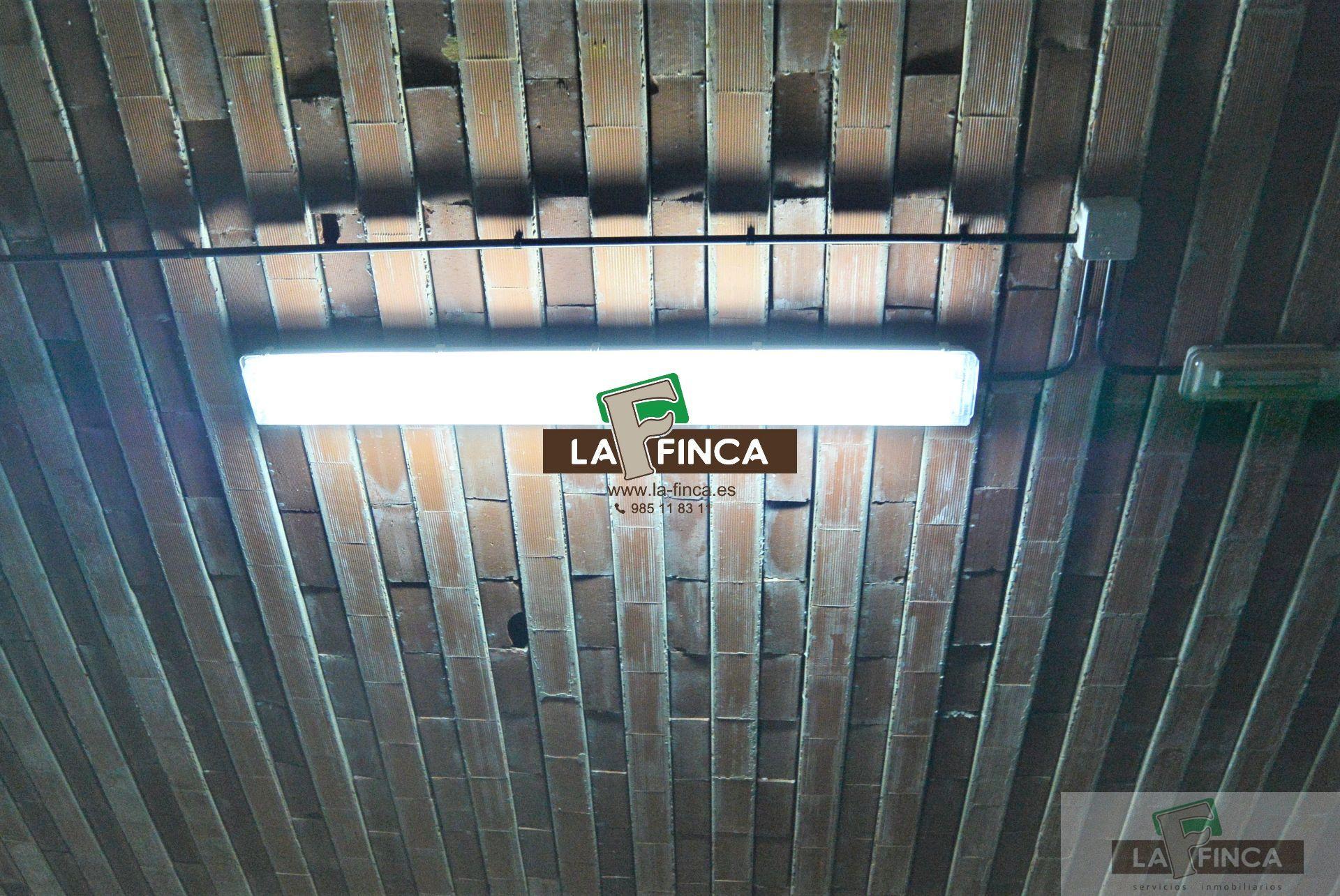For rent of commercial in Oviedo