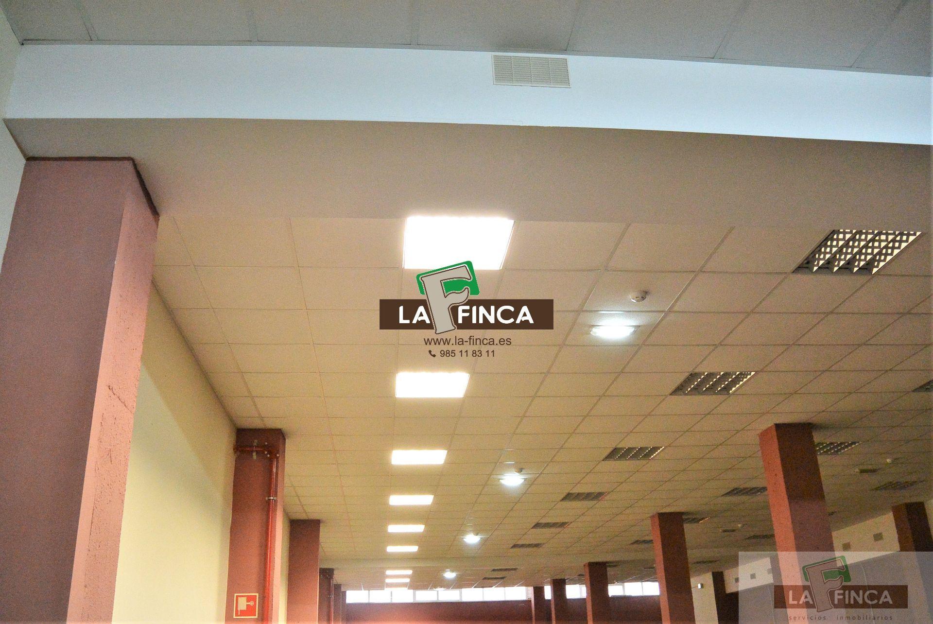 For rent of commercial in Oviedo