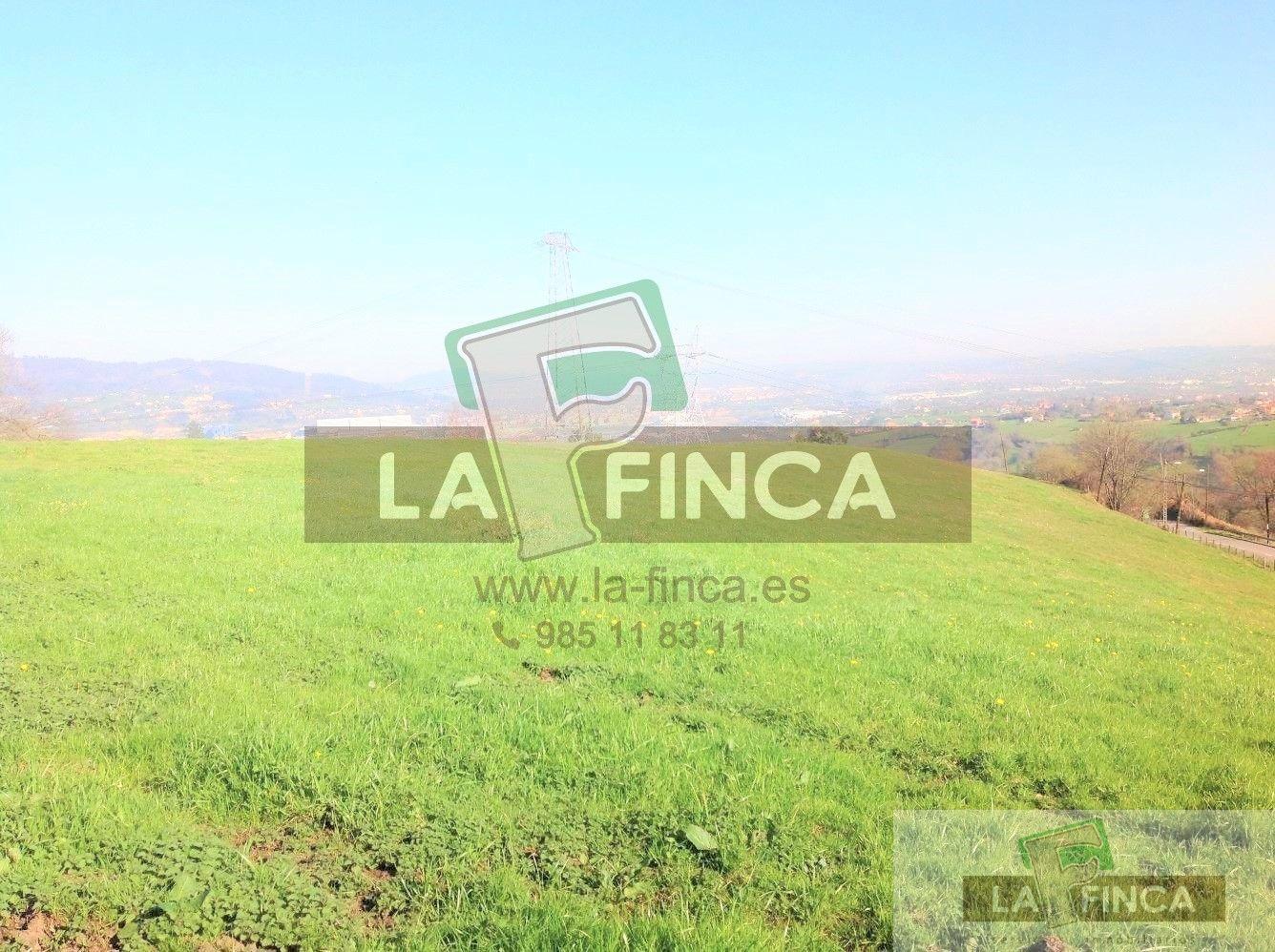For sale of land in Oviedo