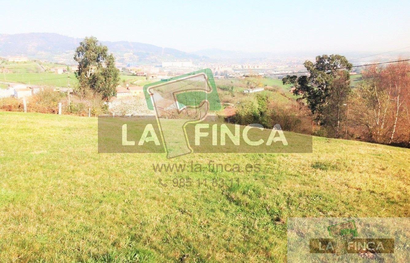 For sale of land in Oviedo