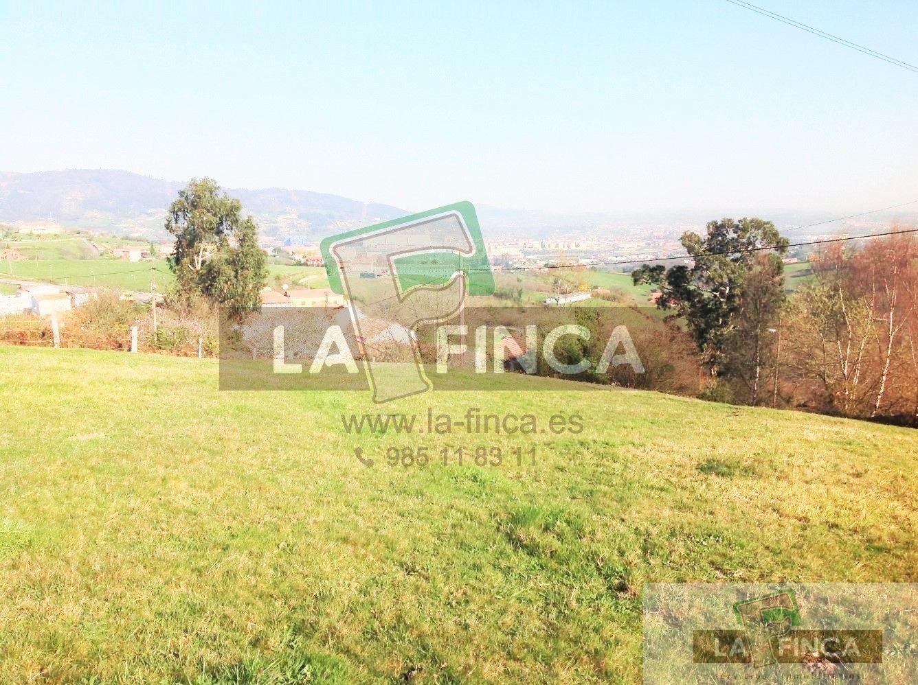 For sale of land in Oviedo