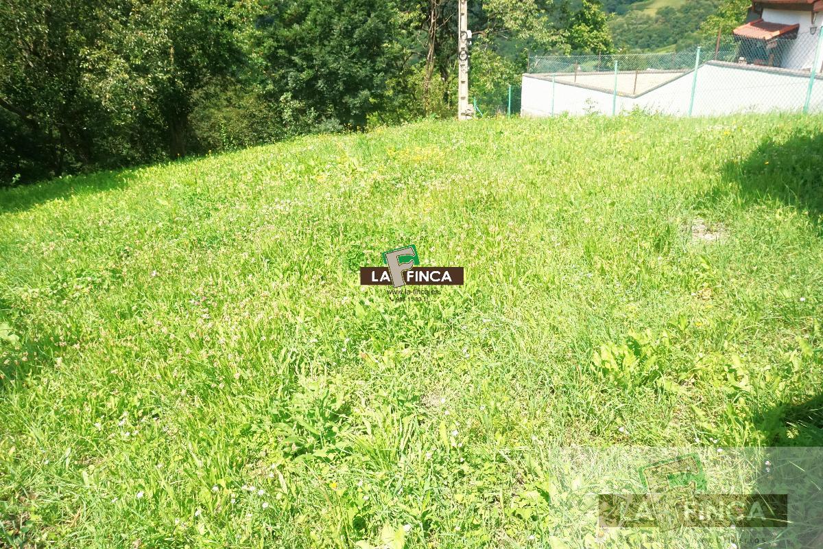 Surroundings