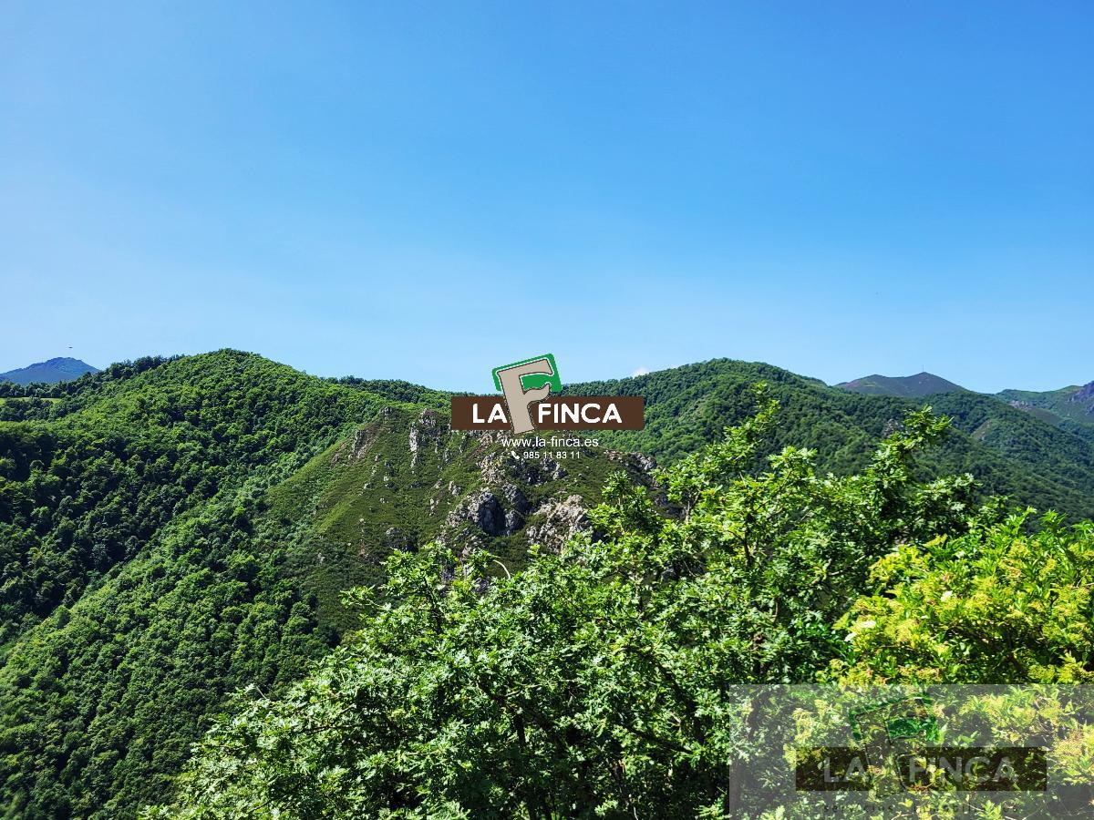 For sale of house in Teverga