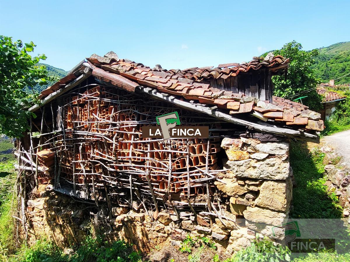 For sale of house in Teverga
