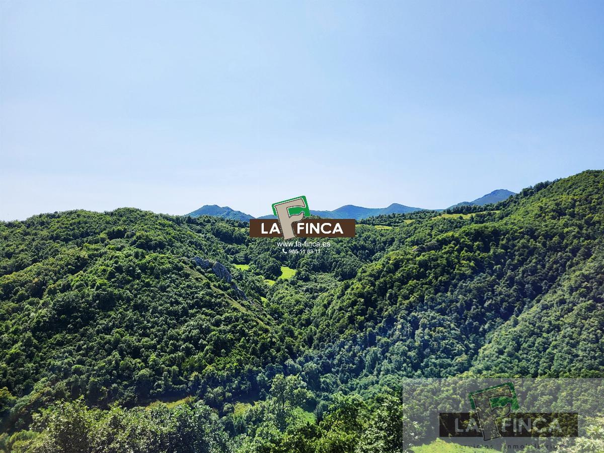 For sale of house in Teverga