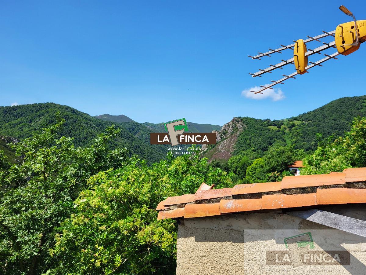 For sale of house in Teverga