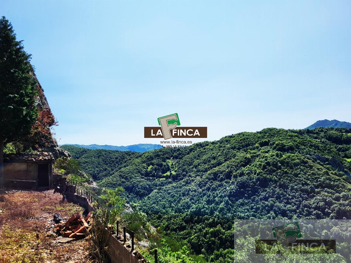 For sale of house in Teverga