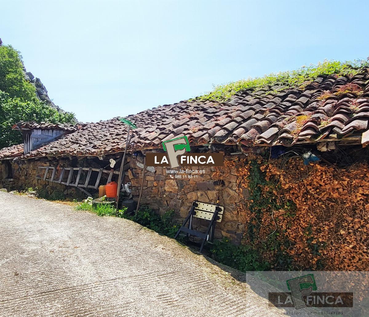For sale of house in Teverga