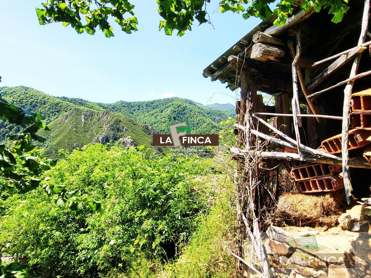 For sale of house in Teverga