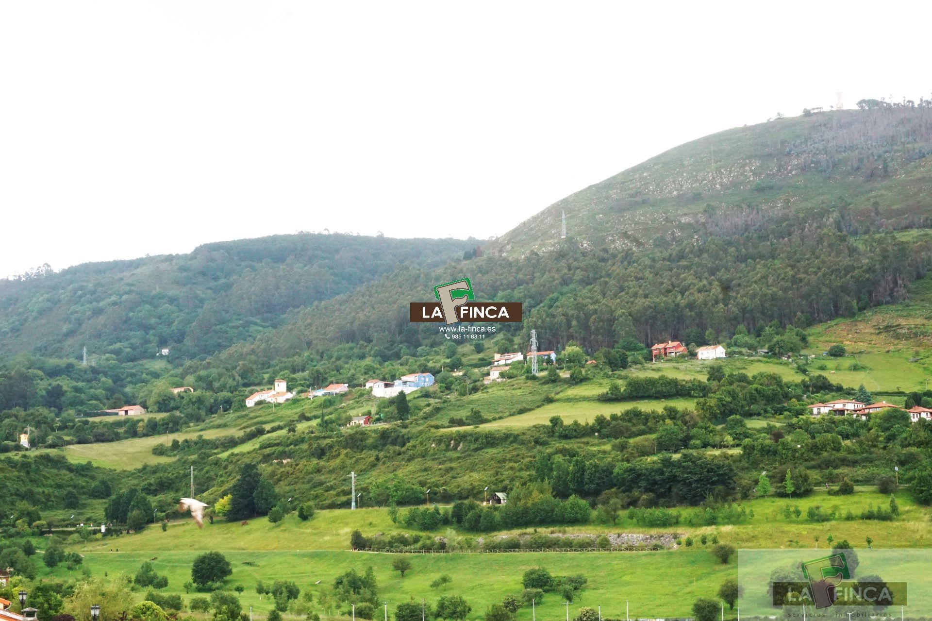 For sale of penthouse in Oviedo