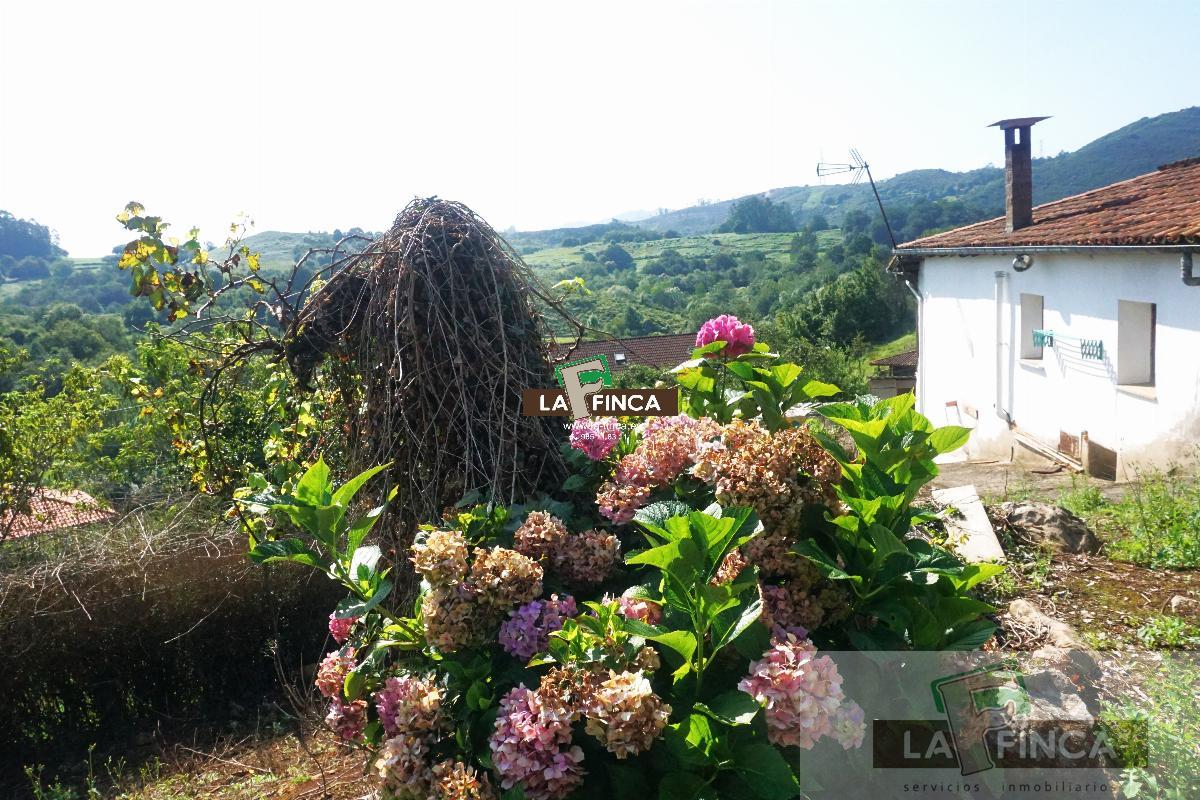 For sale of house in Oviedo
