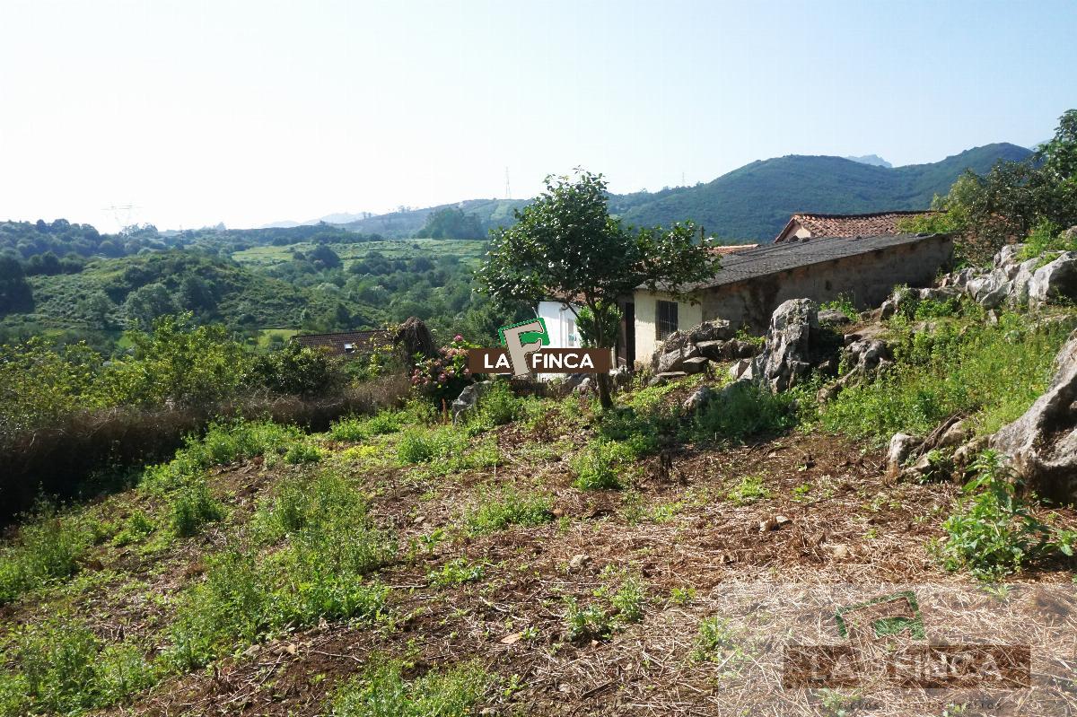 For sale of house in Oviedo