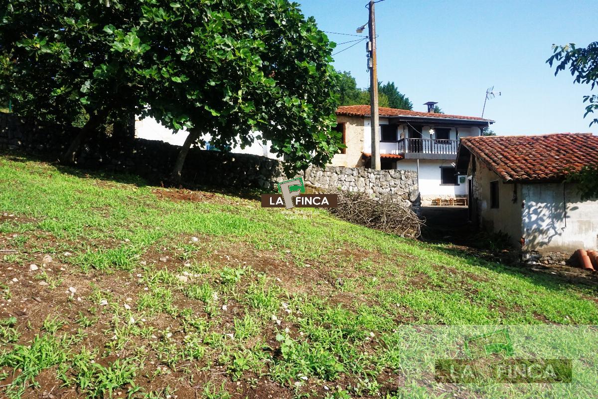 For sale of house in Oviedo