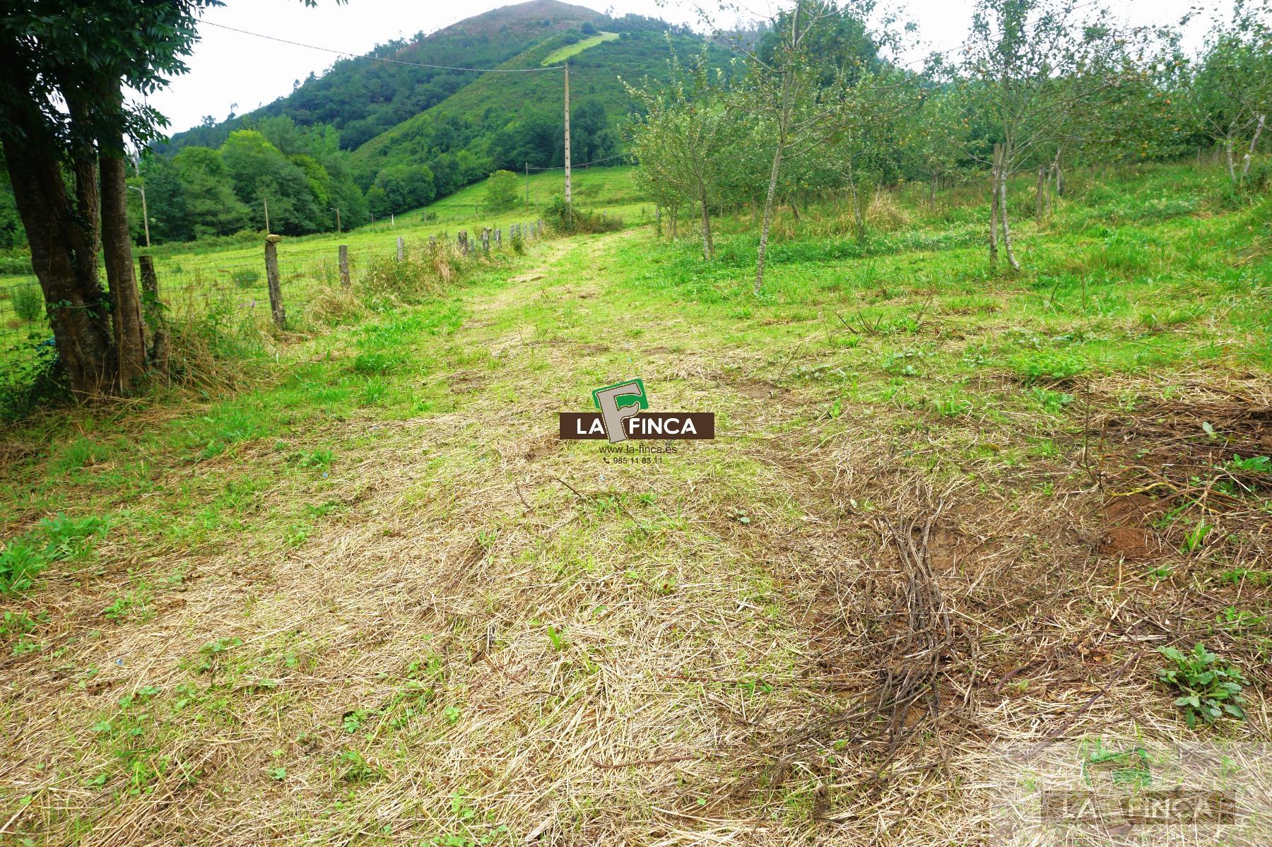 For sale of land in Grado