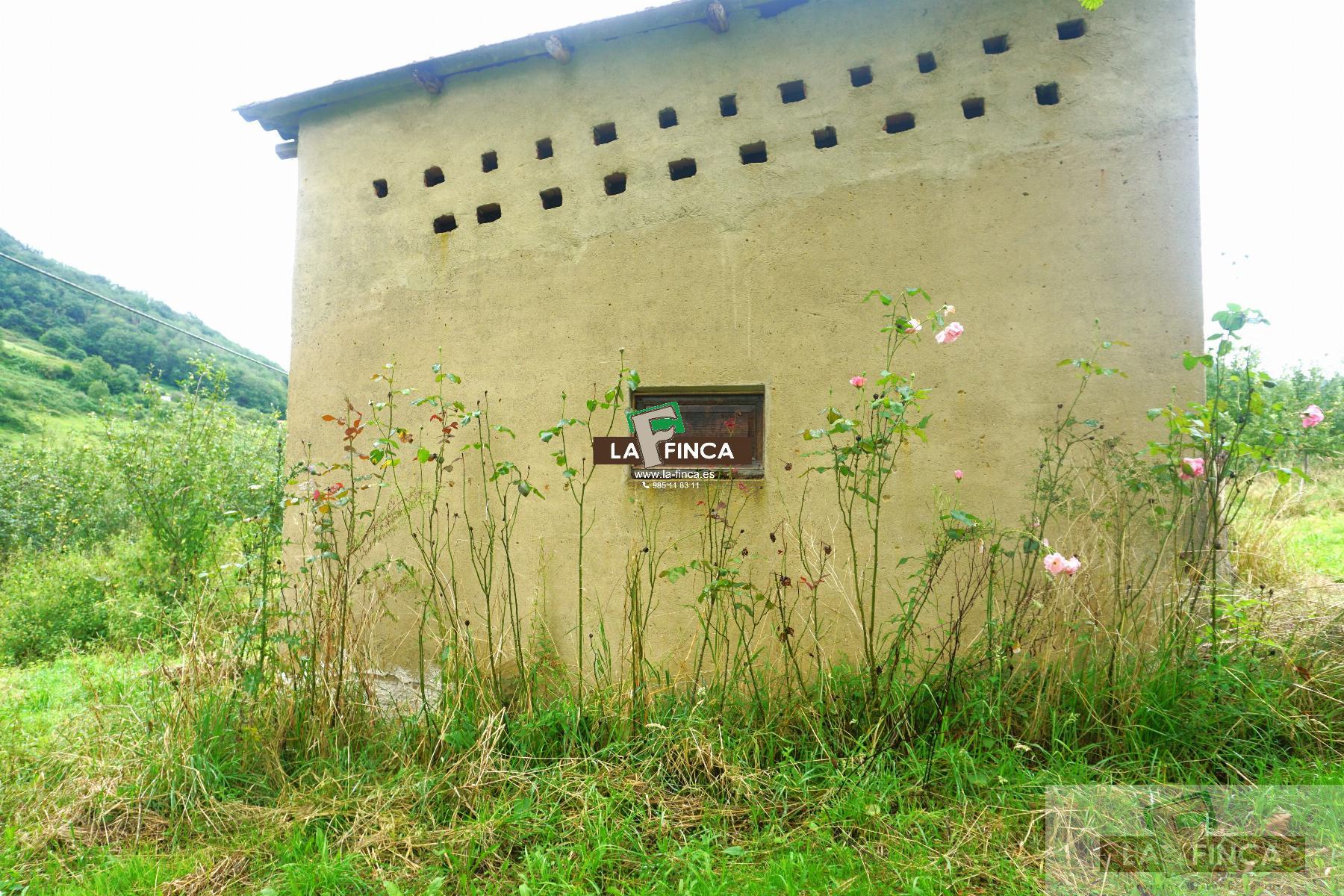 For sale of land in Grado