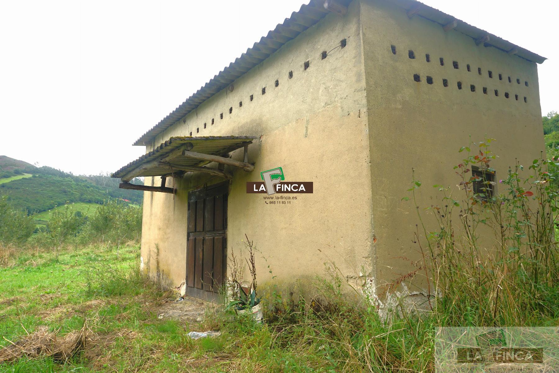 For sale of land in Grado