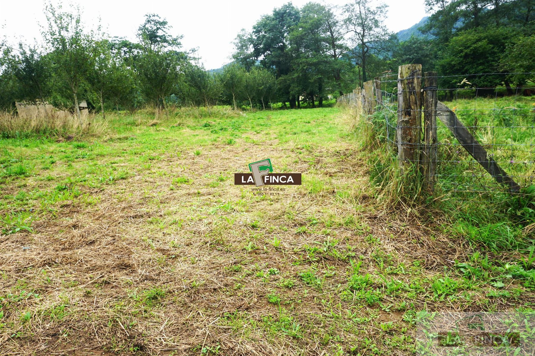For sale of land in Grado