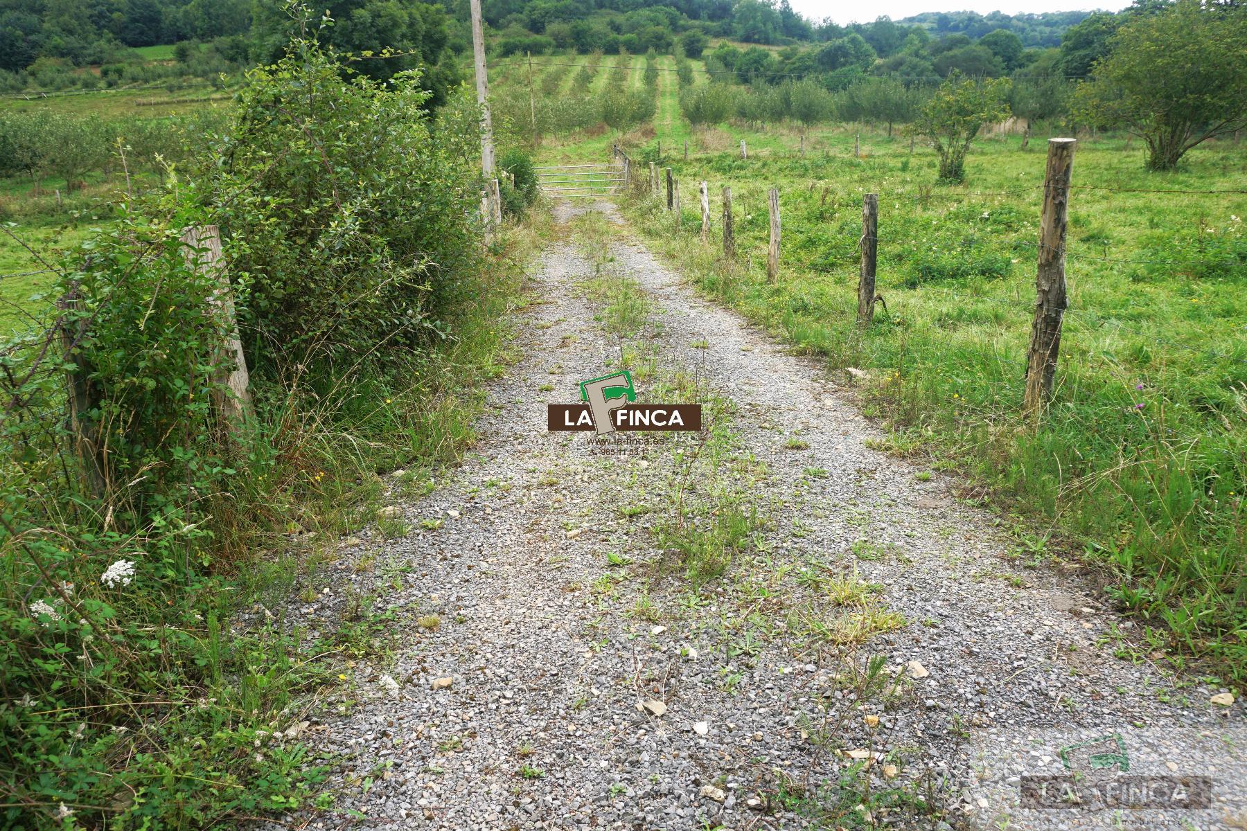 For sale of land in Grado