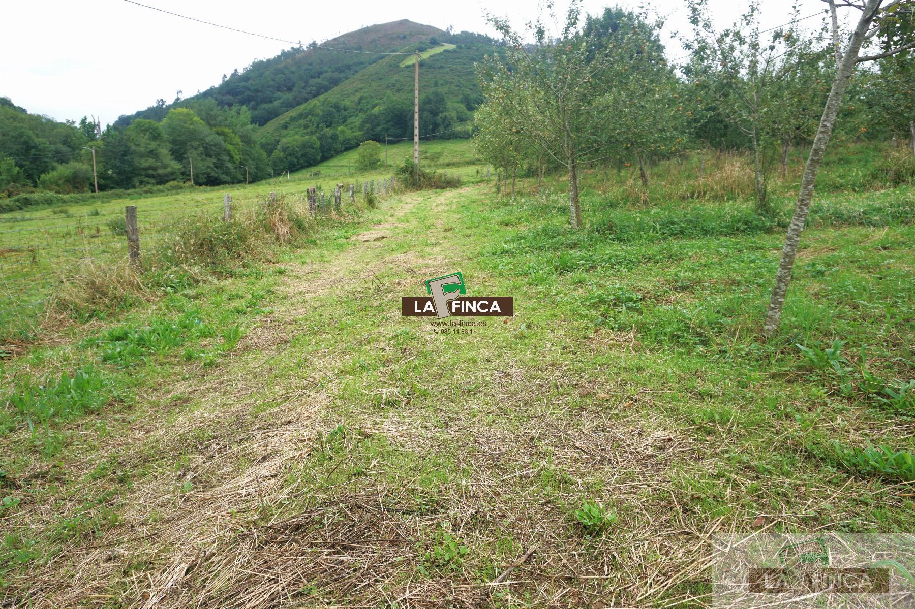 For sale of land in Grado