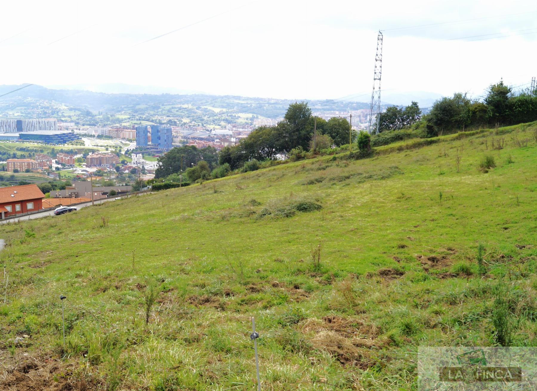 For sale of land in Oviedo
