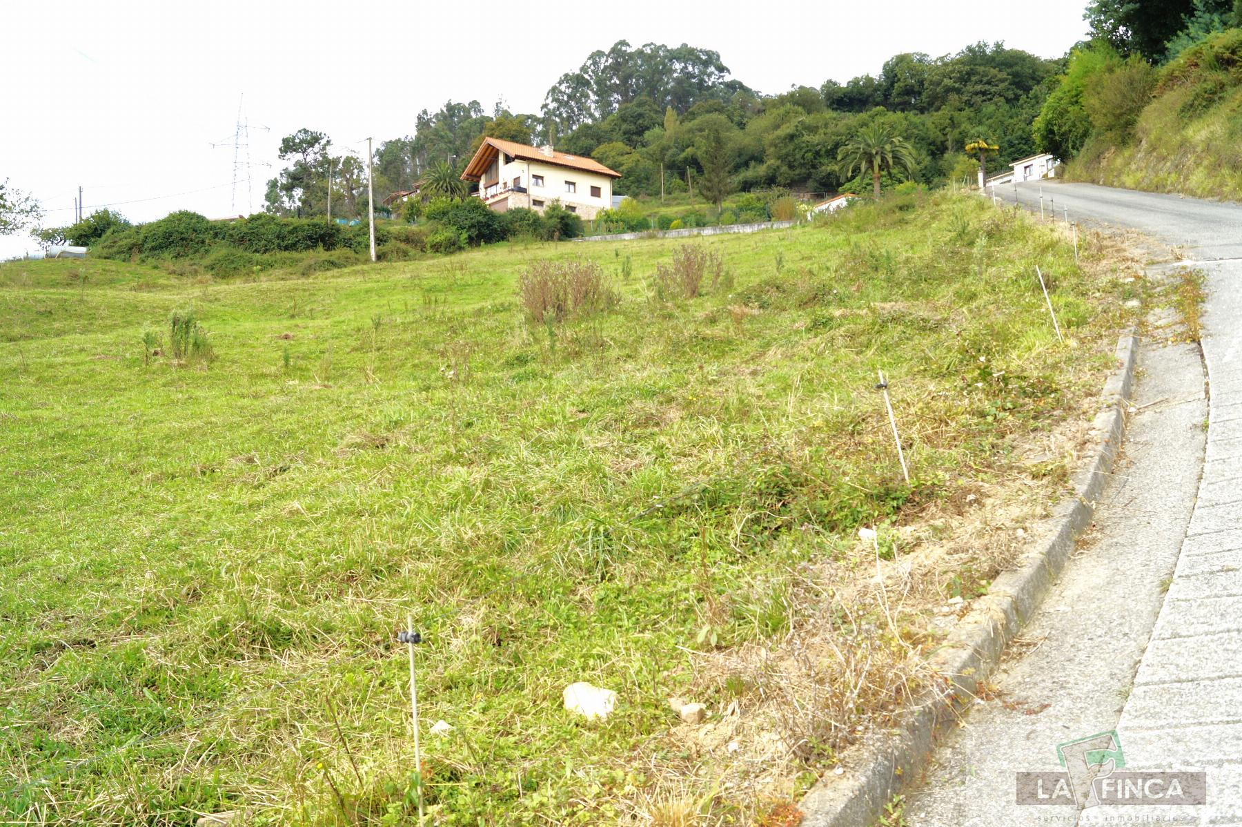 For sale of land in Oviedo