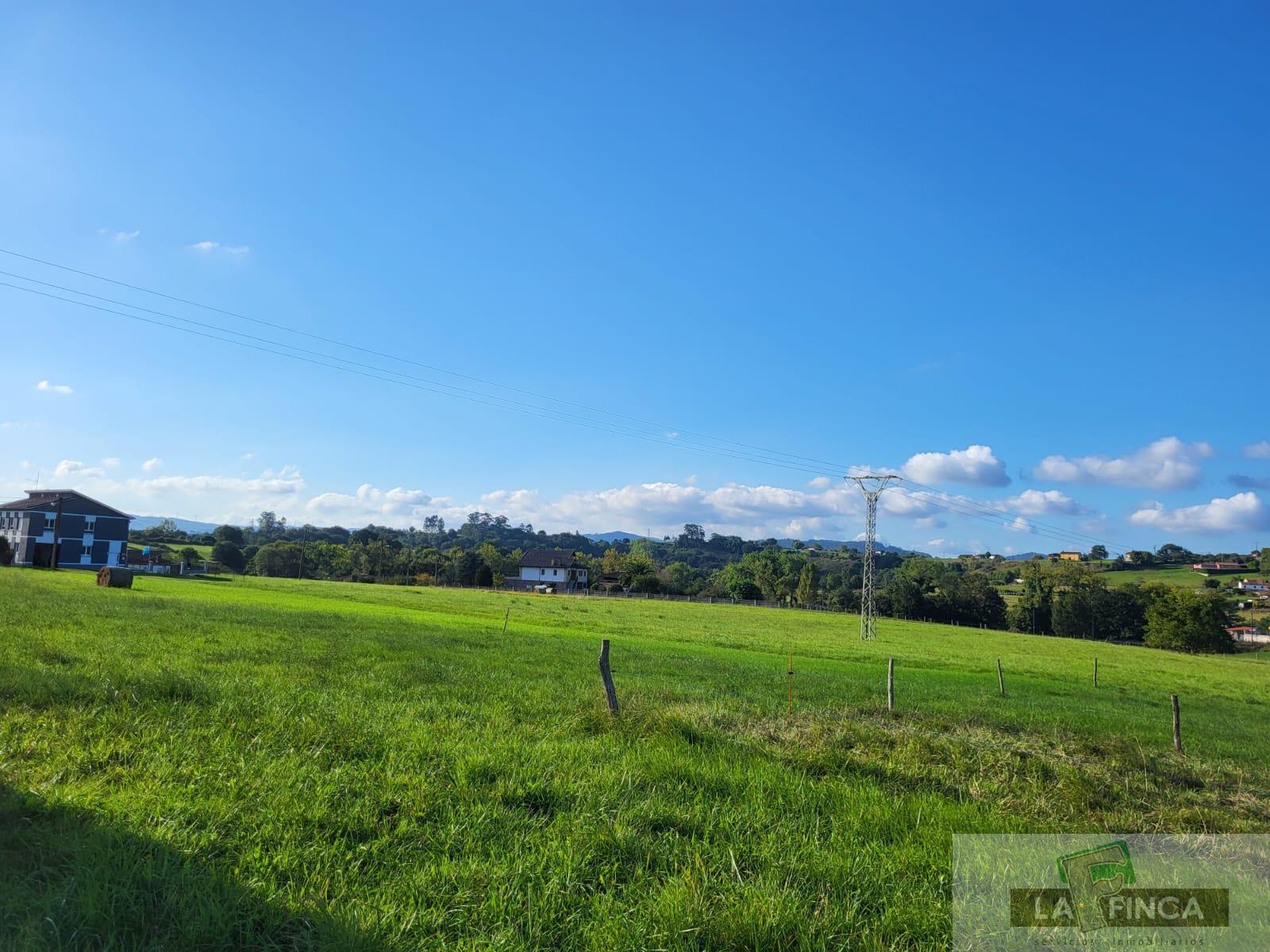 For sale of land in Oviedo