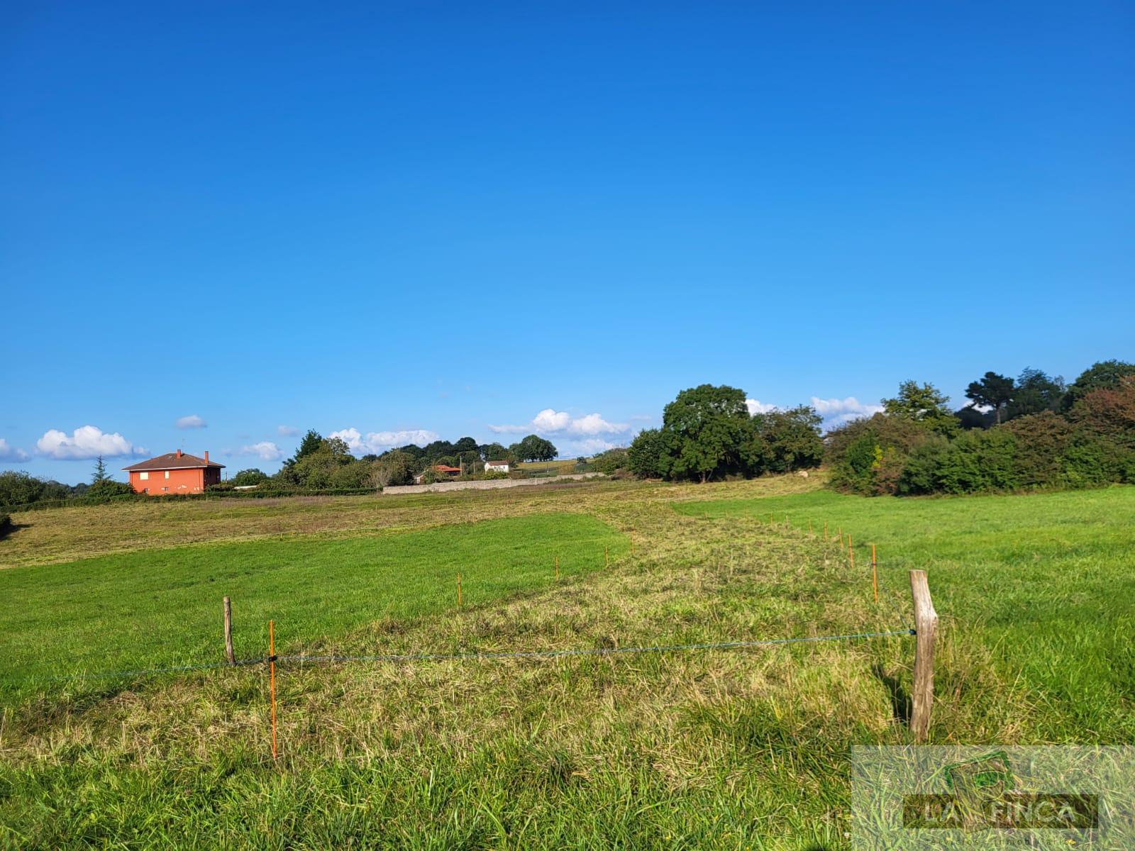 For sale of land in Oviedo