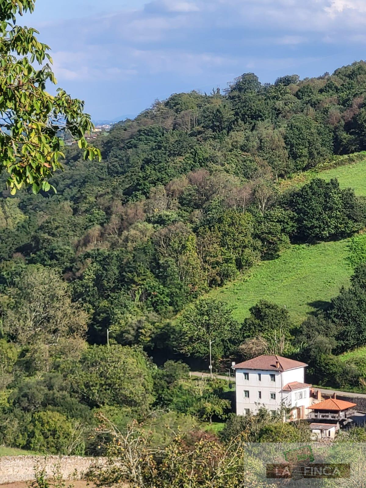 For sale of land in Oviedo