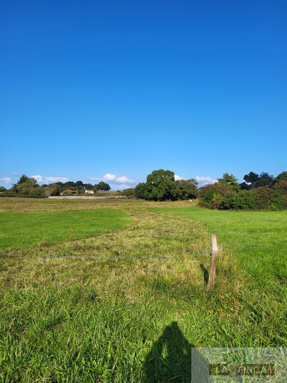 For sale of land in Oviedo
