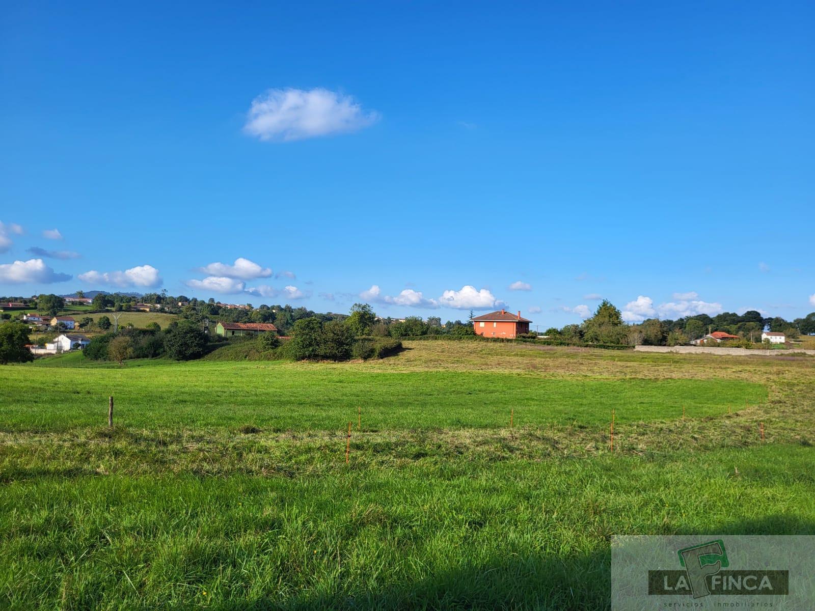 For sale of land in Oviedo