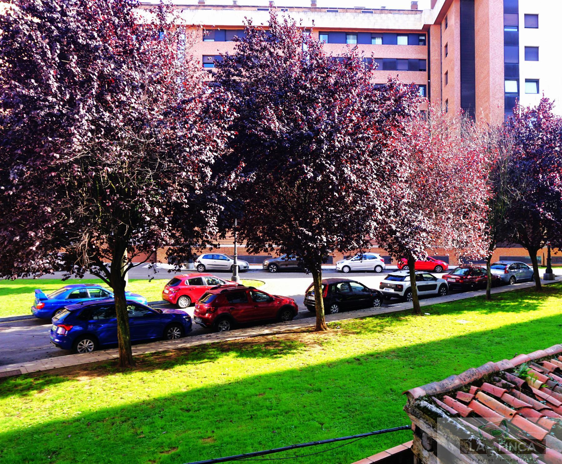 For sale of office in Oviedo