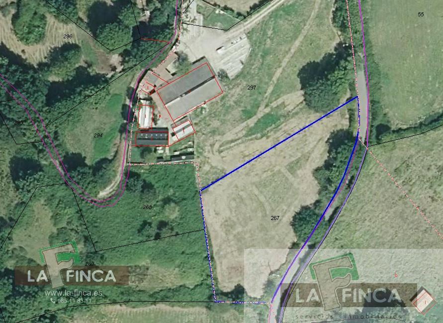 For sale of land in Oviedo