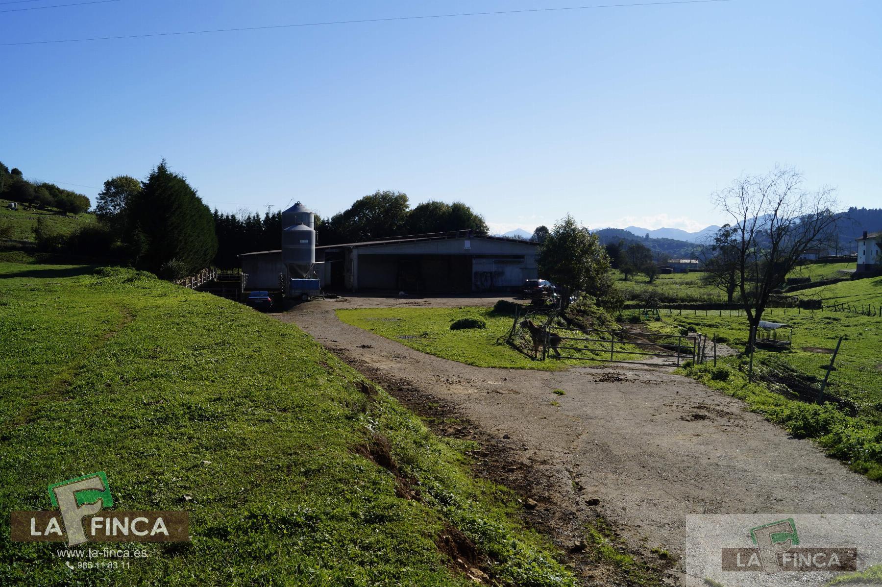 For sale of industrial plant/warehouse in Siero