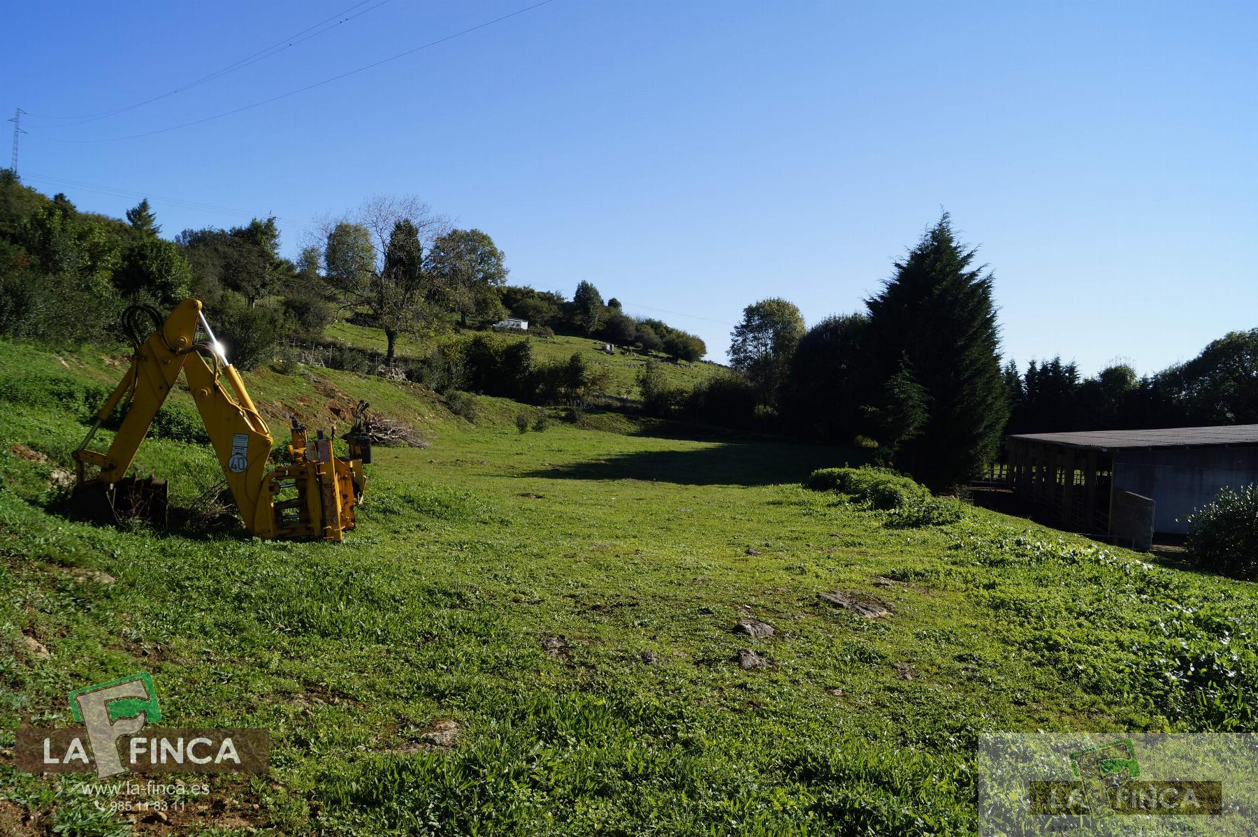 For sale of industrial plant/warehouse in Siero
