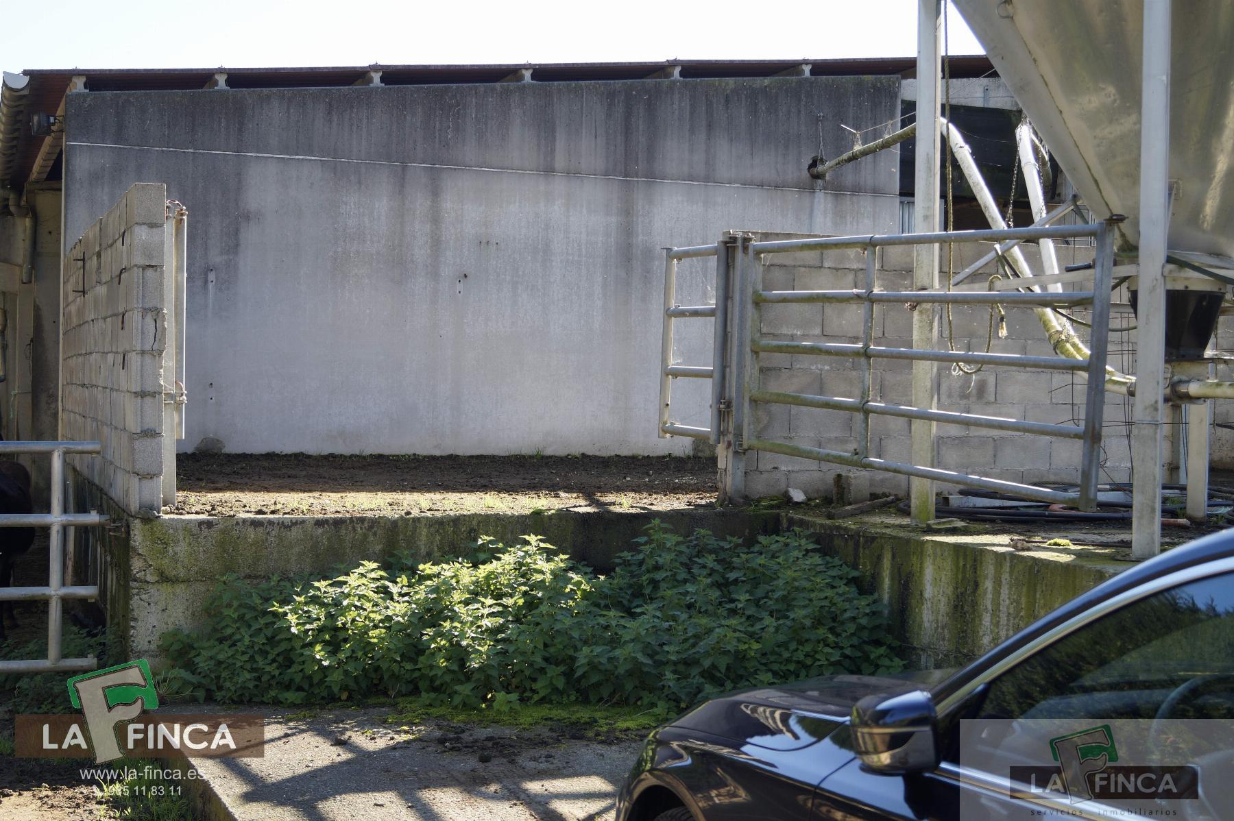 For sale of industrial plant/warehouse in Siero