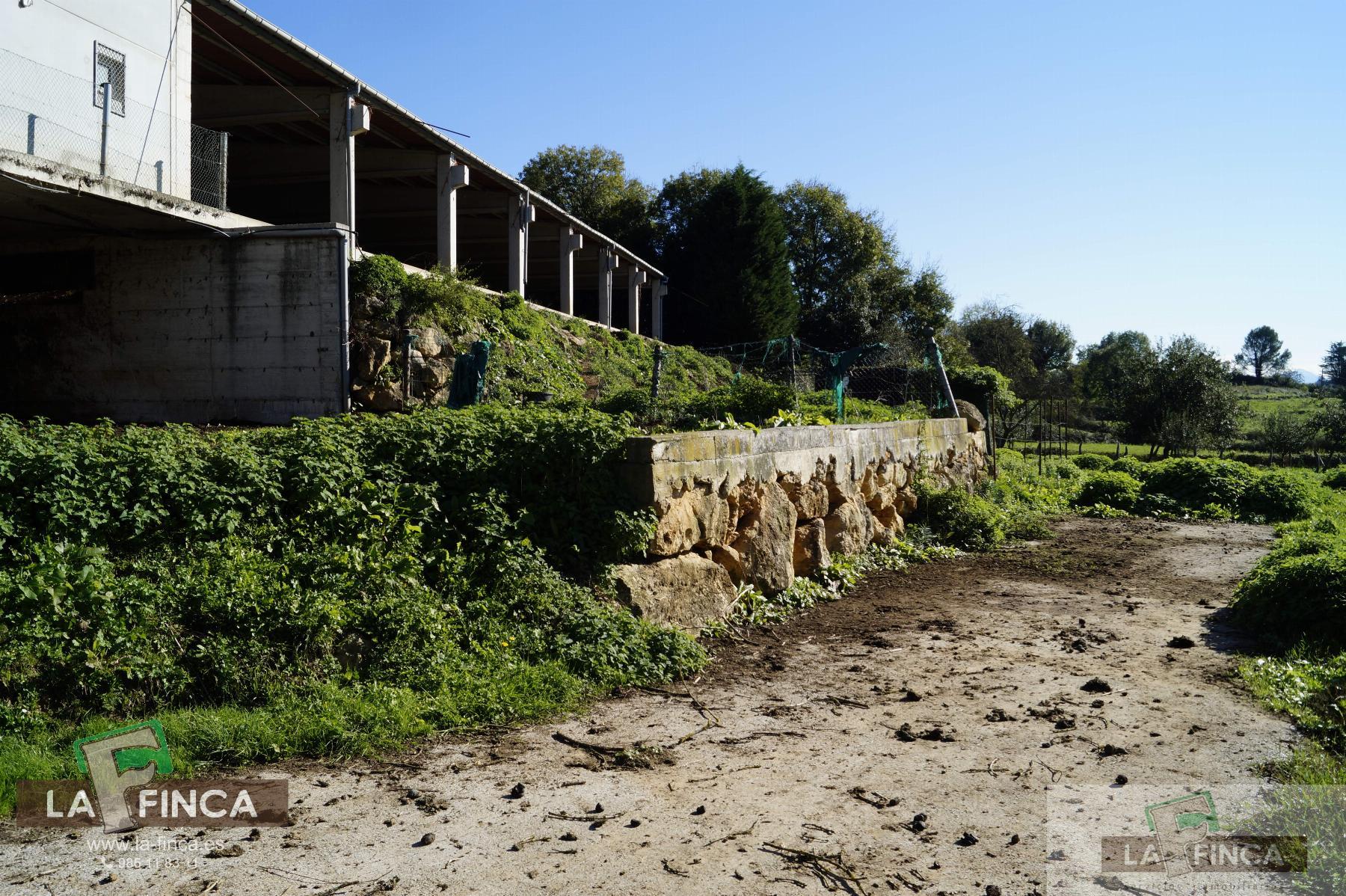 For sale of industrial plant/warehouse in Siero