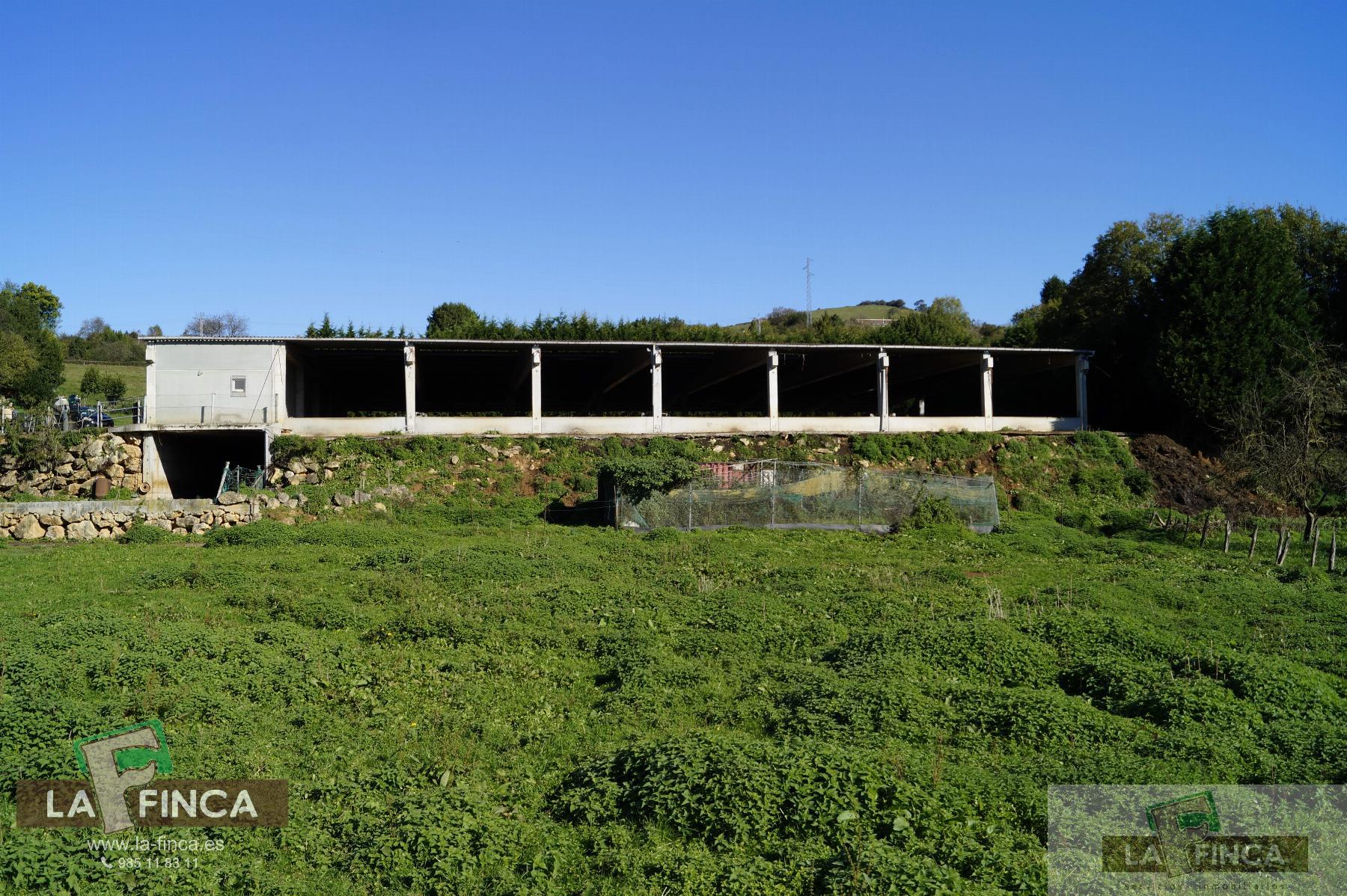 For sale of industrial plant/warehouse in Siero