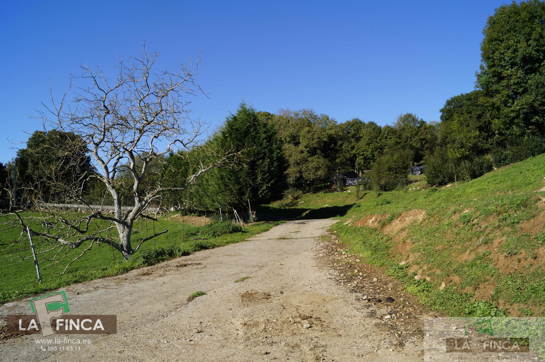 For sale of industrial plant/warehouse in Siero