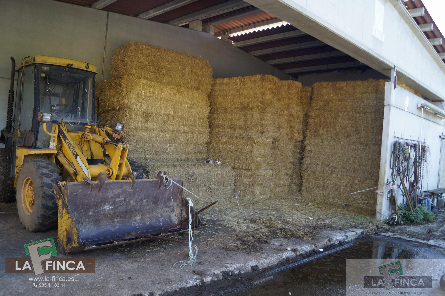 For sale of industrial plant/warehouse in Siero